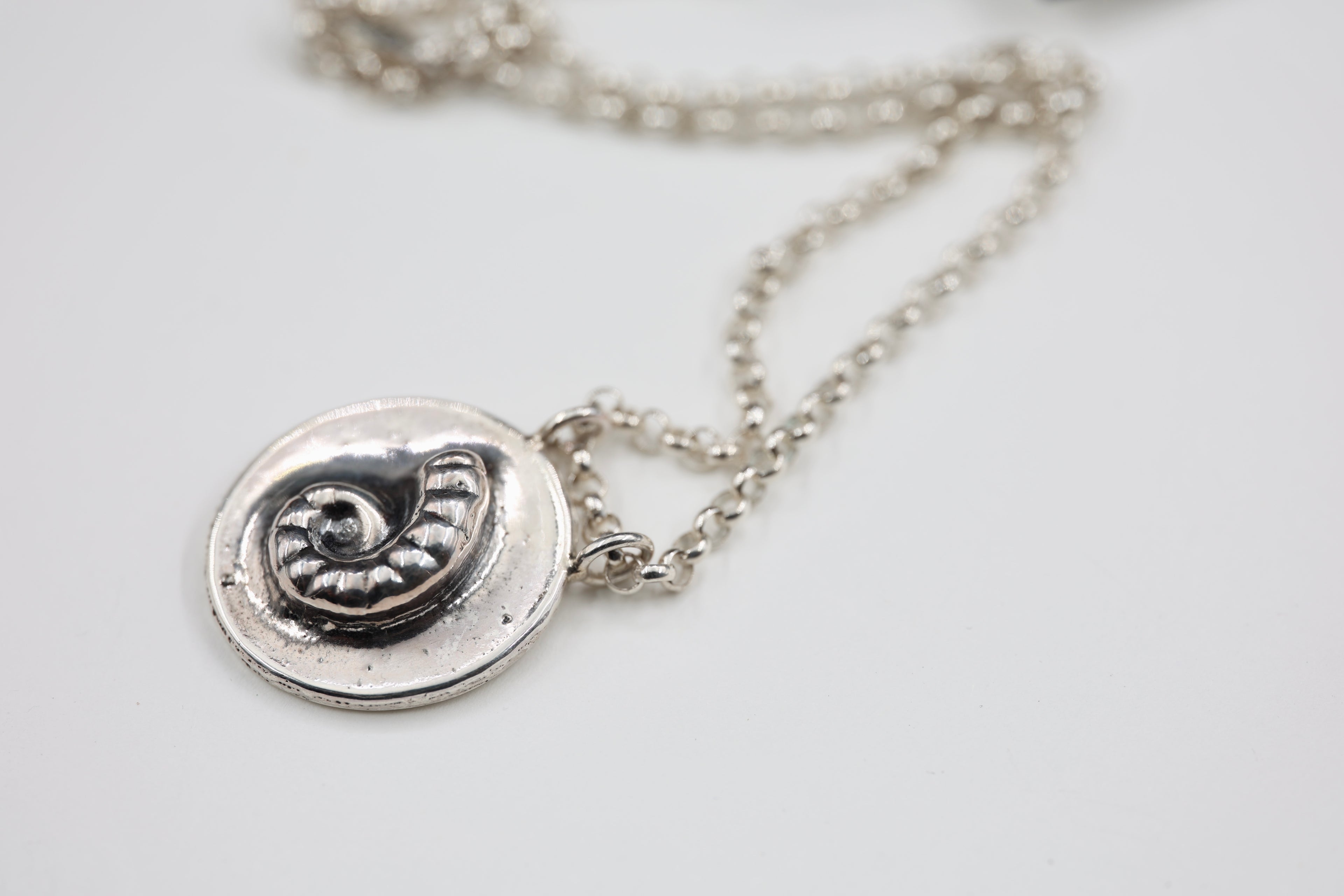 Spirula Spirula Shell Necklace - Large