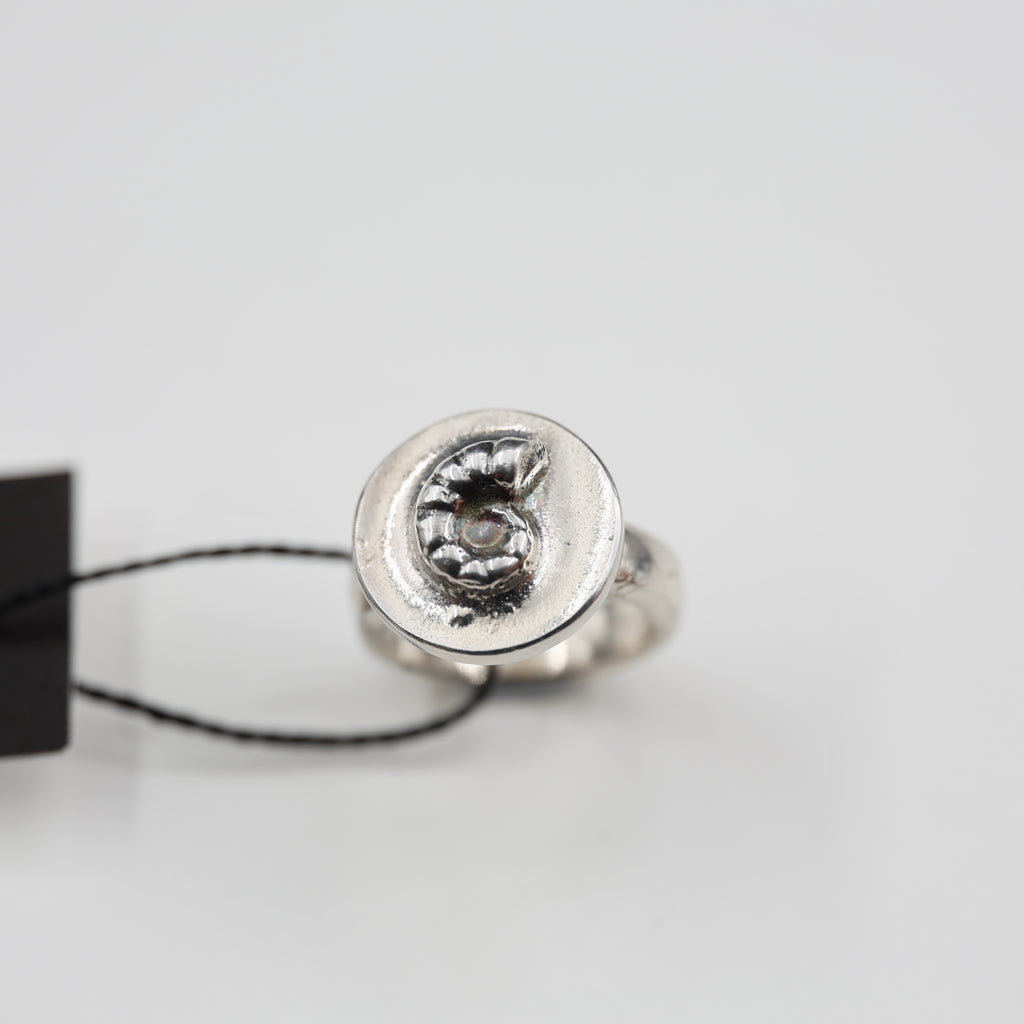 Spirula Spirula Shell Imprinted Ring - Small
