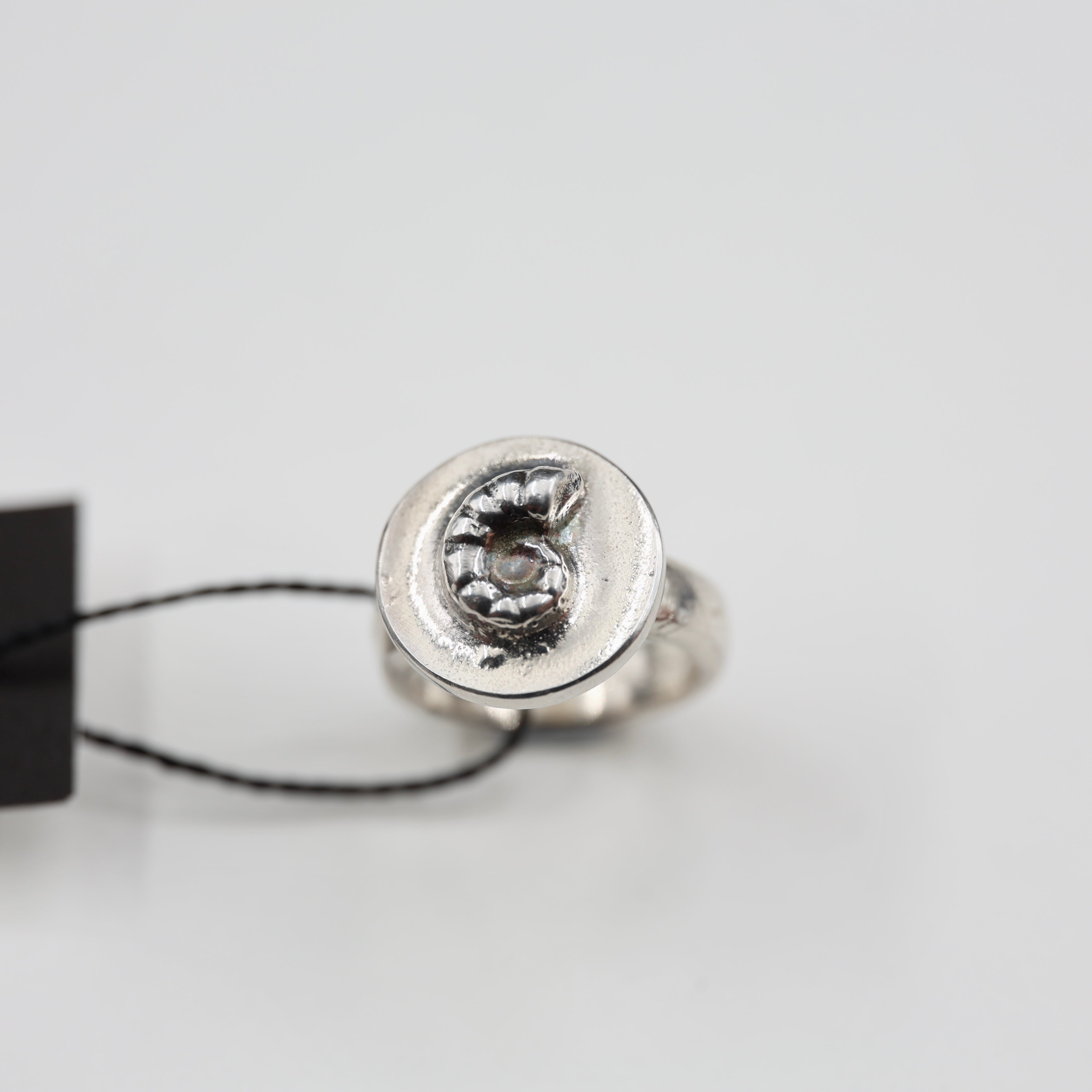 Spirula Spirula Shell Imprinted Ring - Small