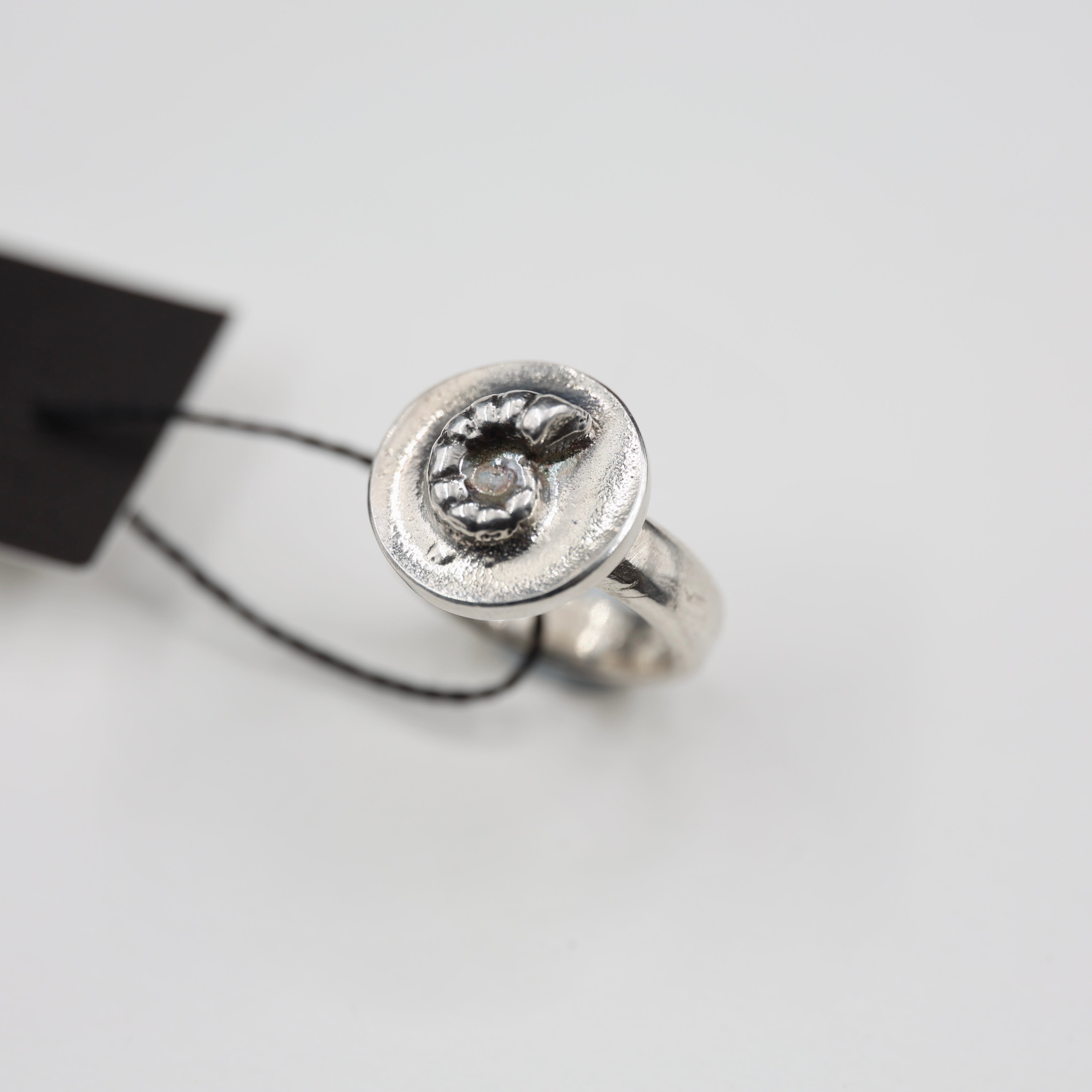 Spirula Spirula Shell Imprinted Ring - Small