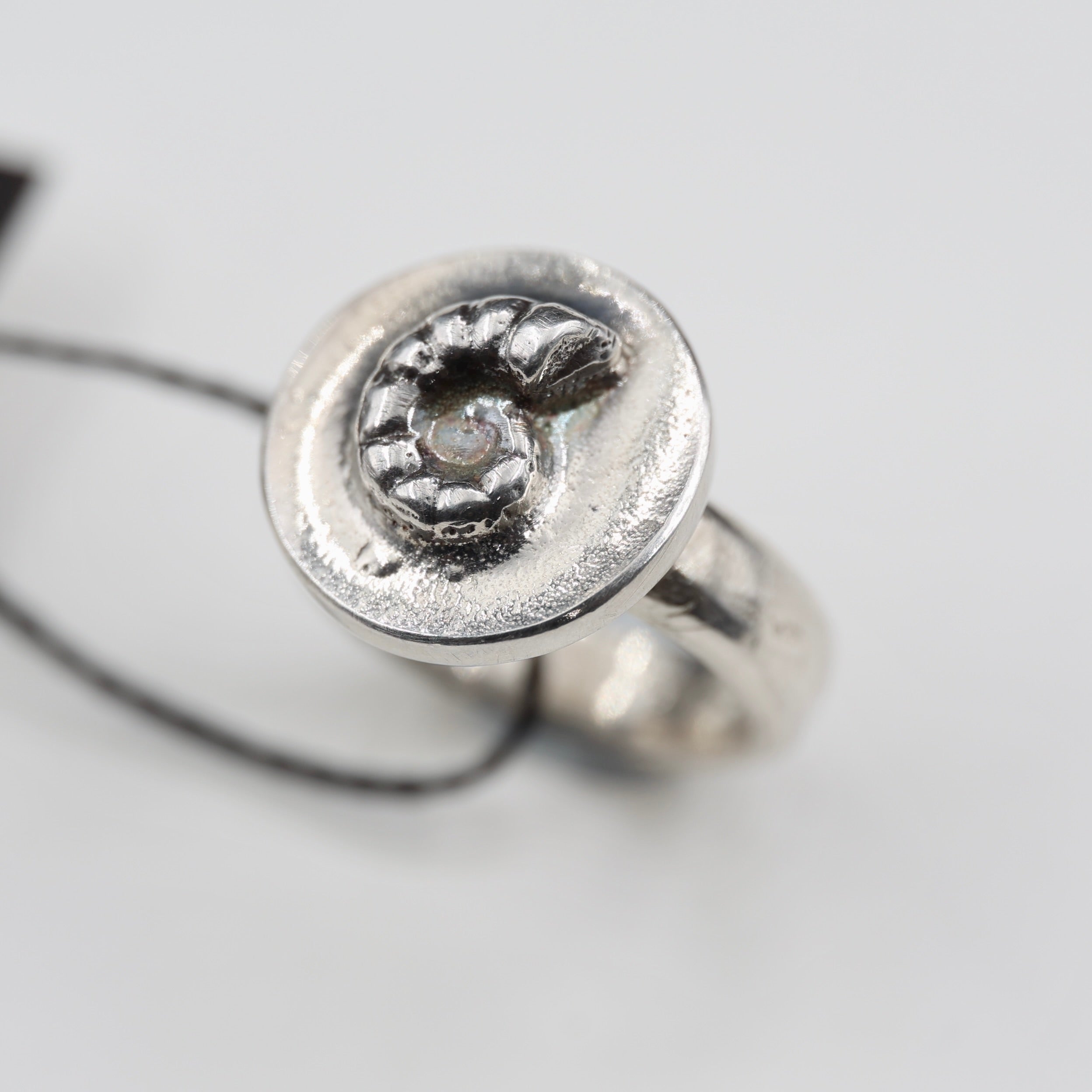 Spirula Spirula Shell Imprinted Ring - Small