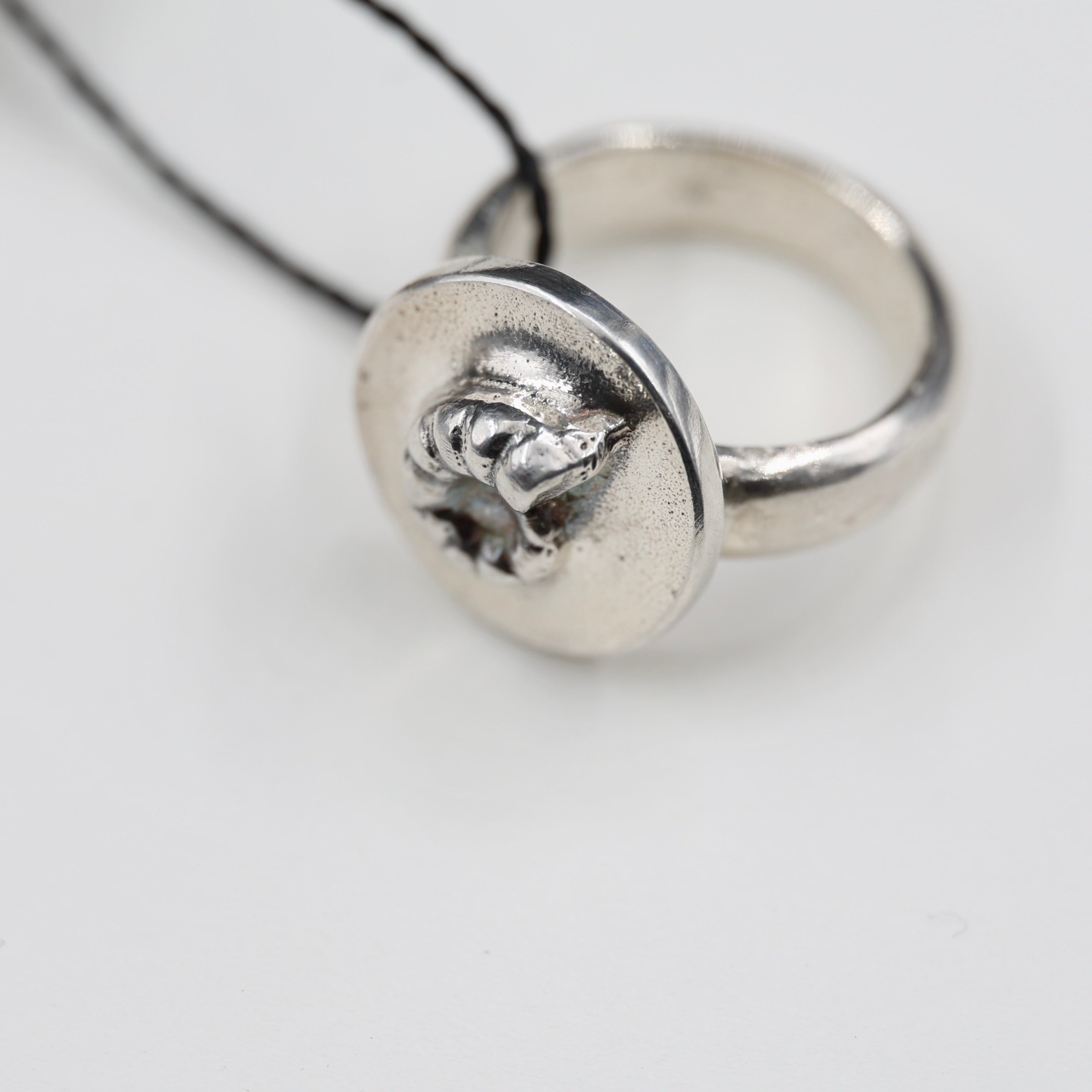 Spirula Spirula Shell Imprinted Ring - Small