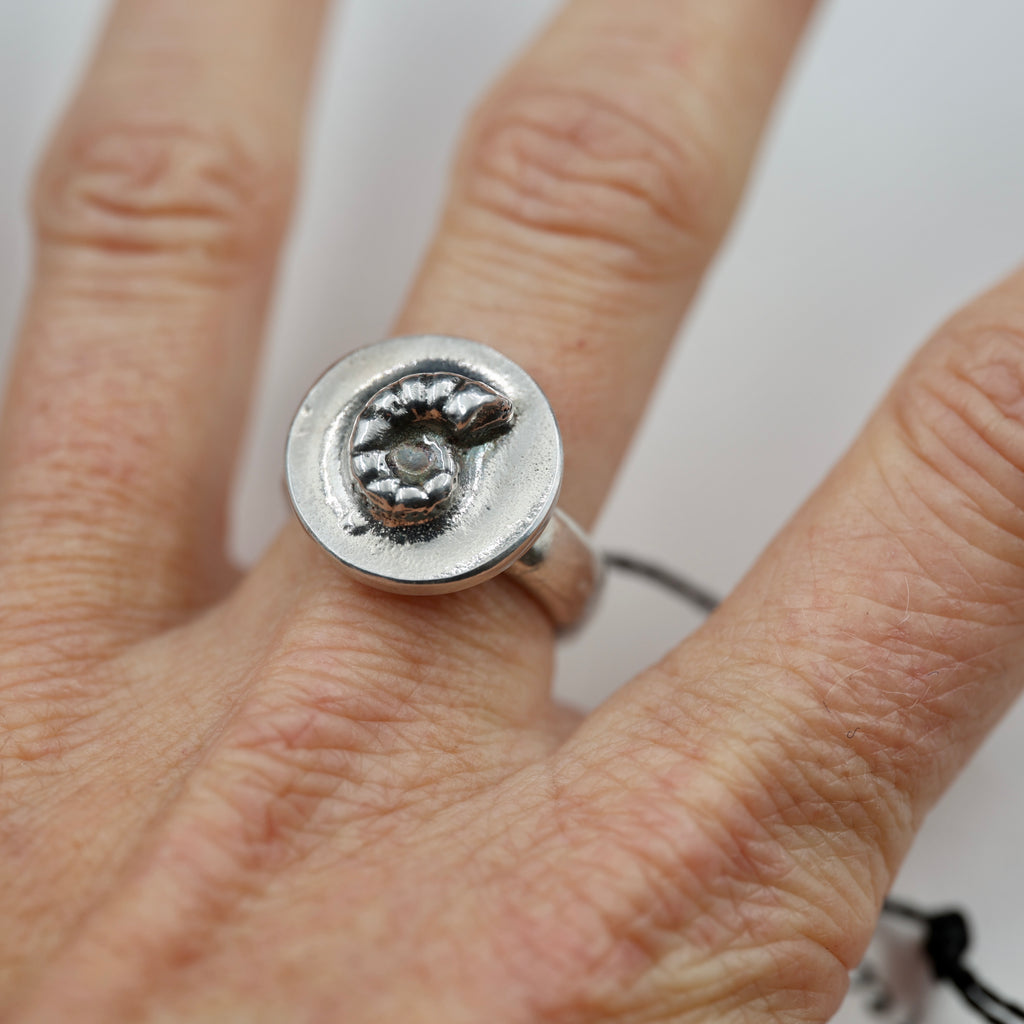 Spirula Spirula Shell Imprinted Ring - Small