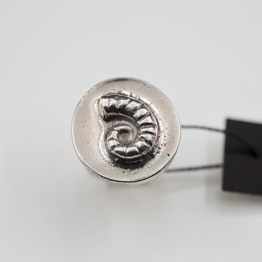 Spirula Spirula Shell Imprinted Ring - Large