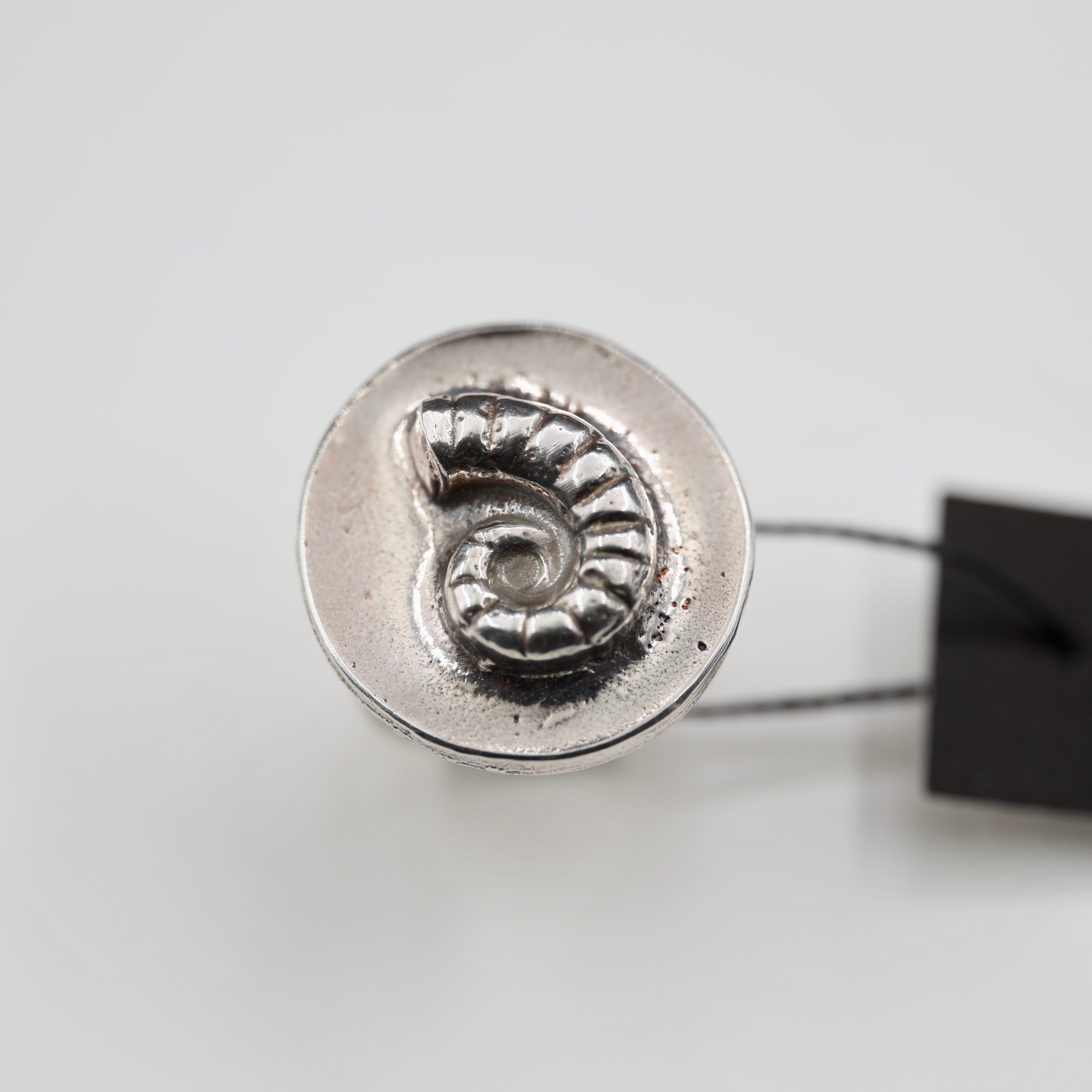 Spirula Spirula Shell Imprinted Ring - Large