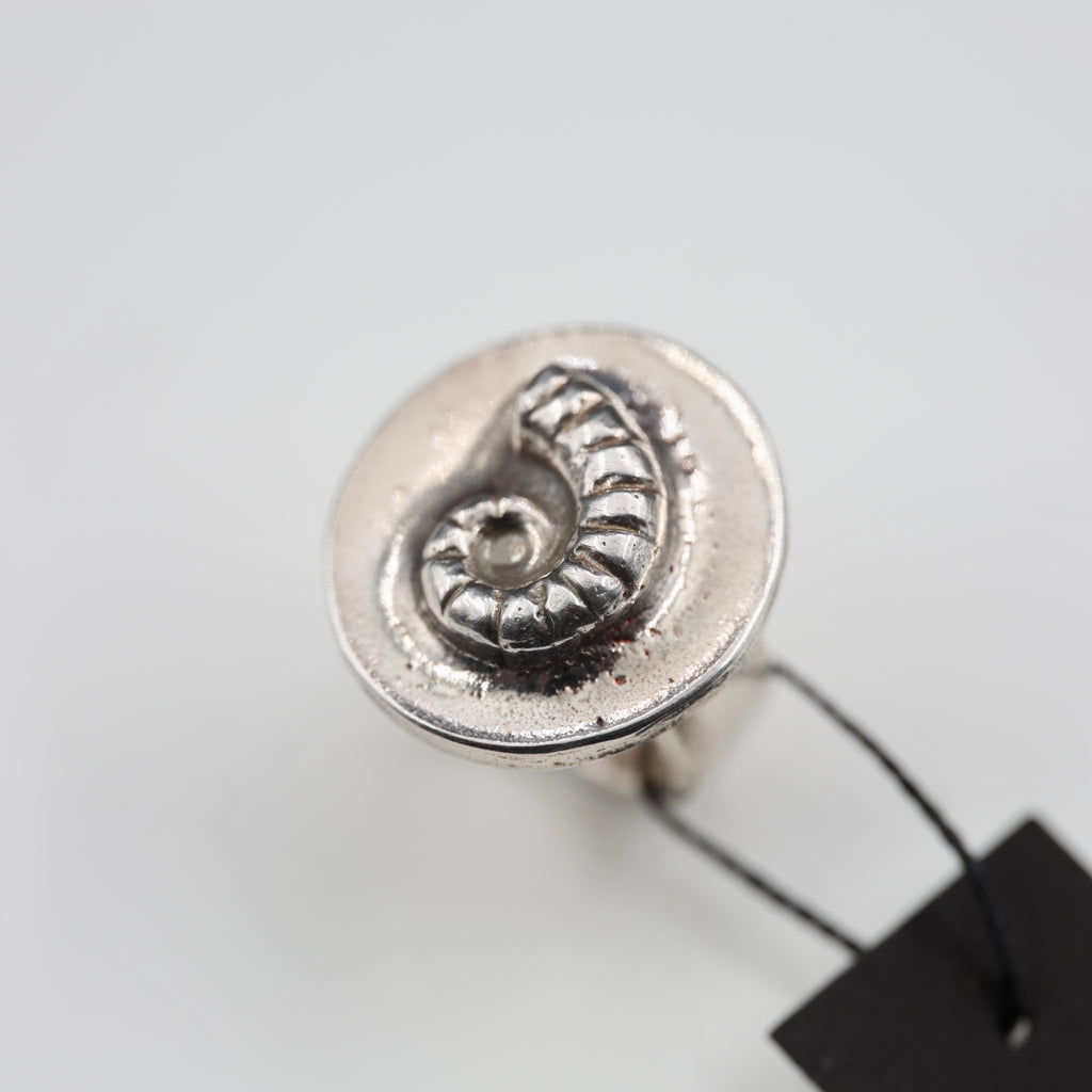 Spirula Spirula Shell Imprinted Ring - Large