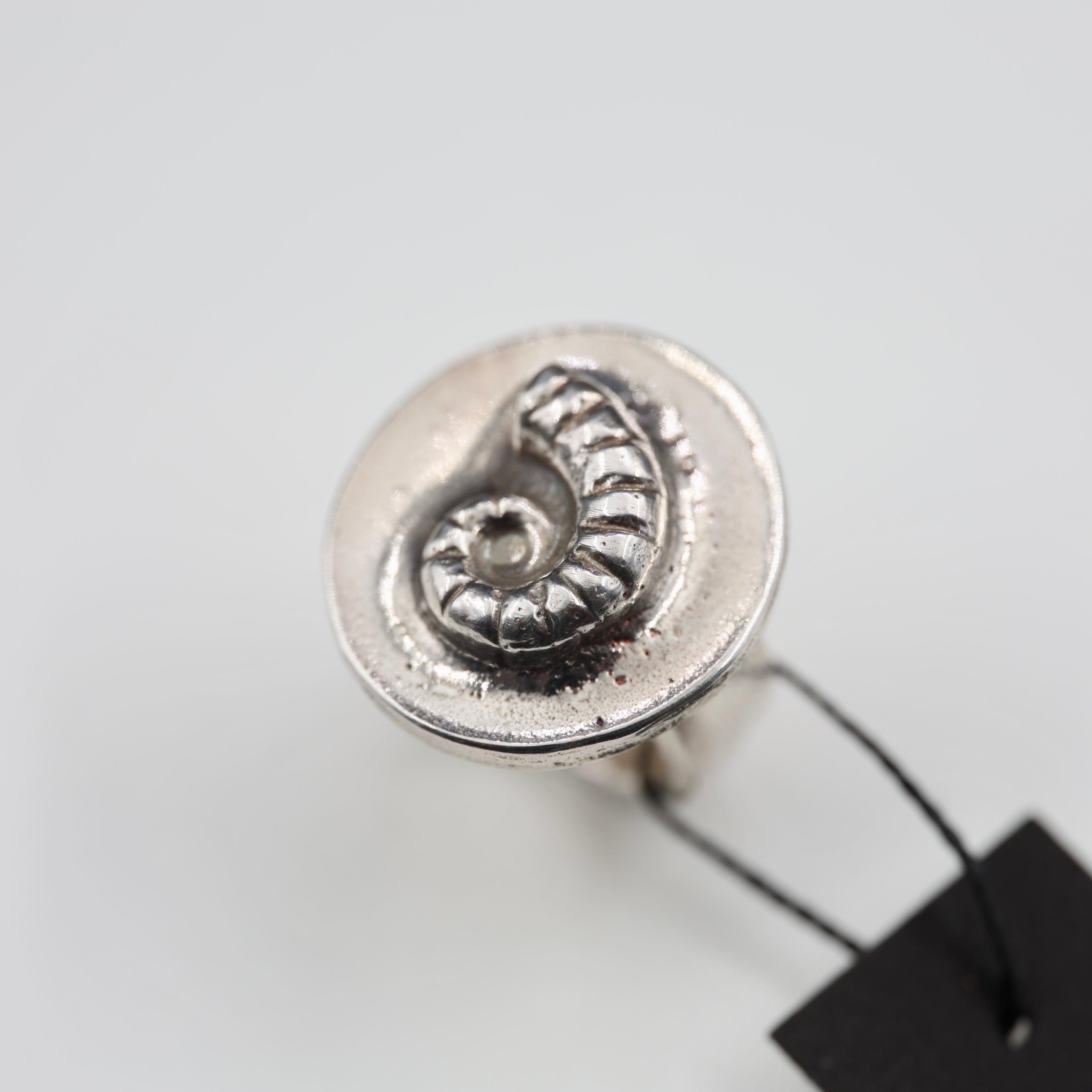 Spirula Spirula Shell Imprinted Ring - Large