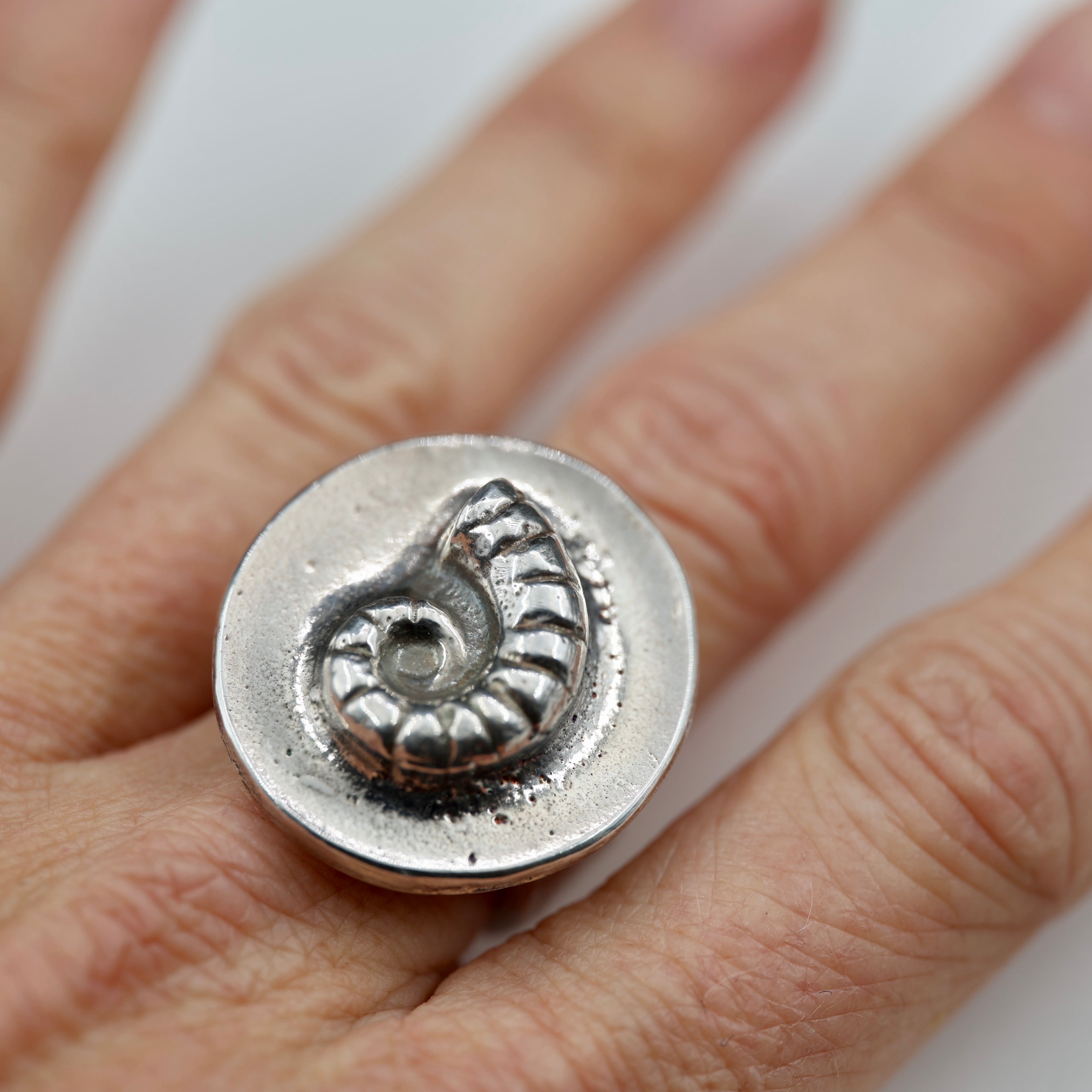 Spirula Spirula Shell Imprinted Ring - Large