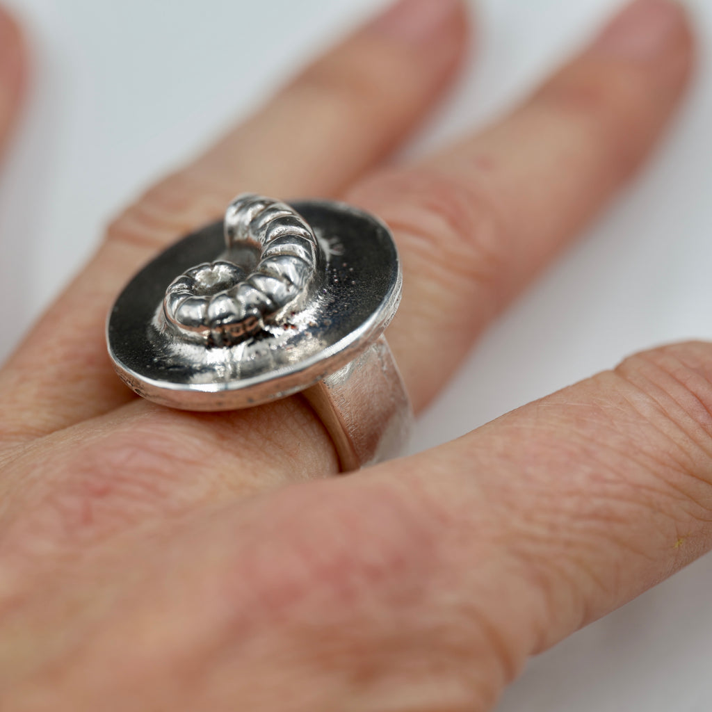 Spirula Spirula Shell Imprinted Ring - Large