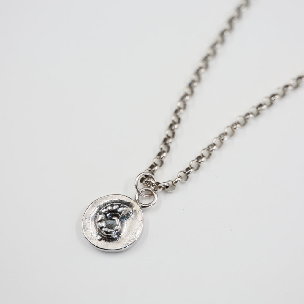 Spirula Spirula Shell Necklace - Small