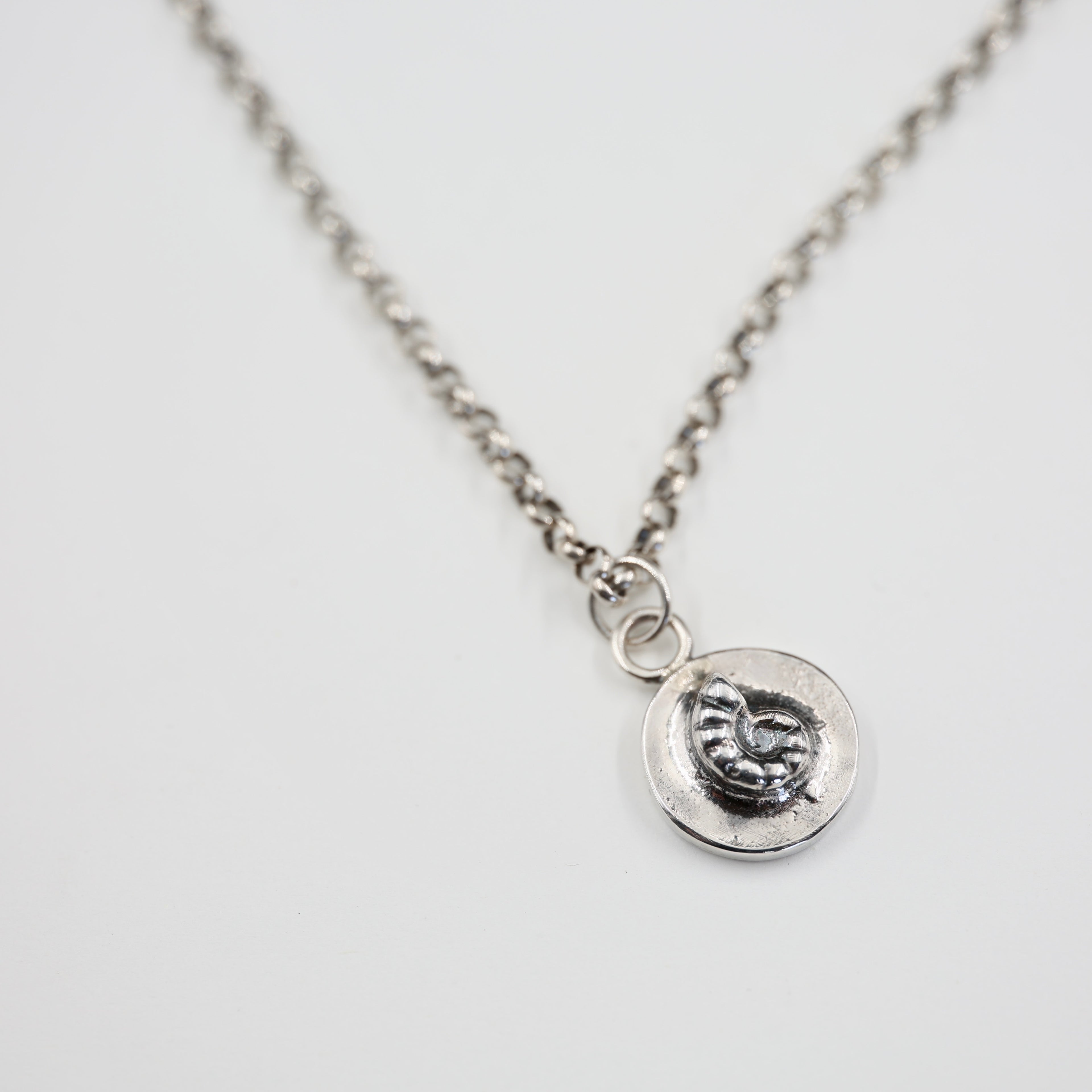 Spirula Spirula Shell Necklace - Small